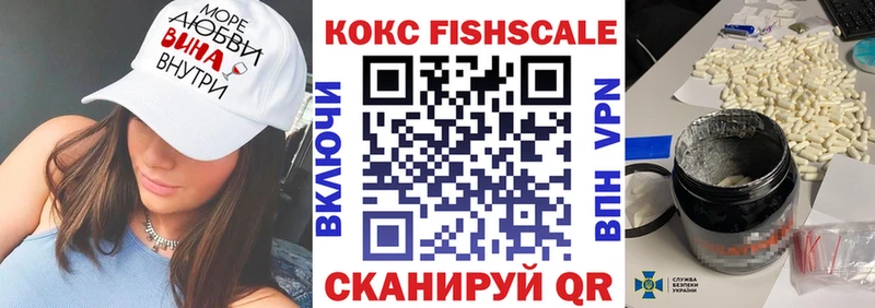 Cocaine FishScale цена Козловка